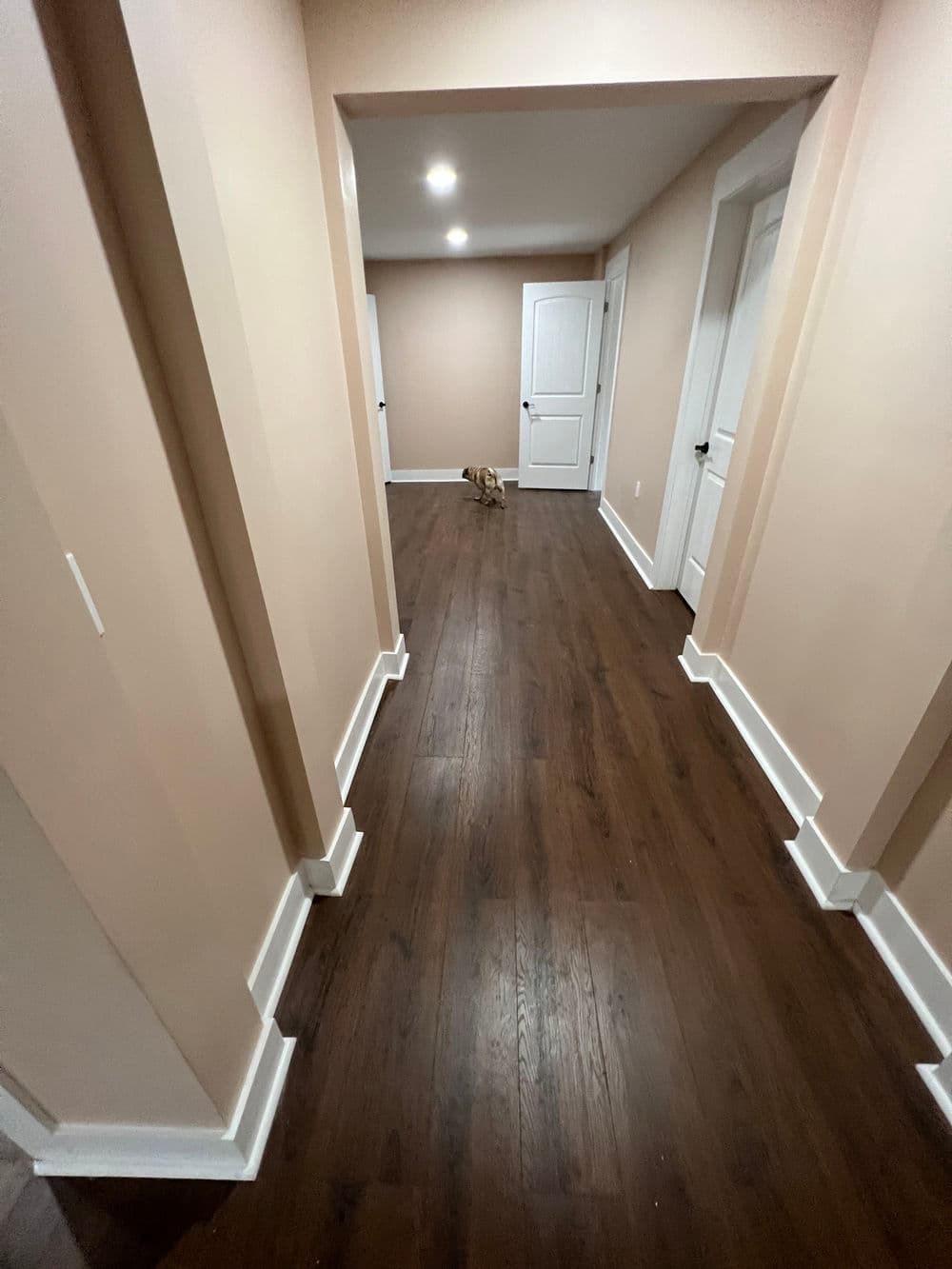 Gallery photos for Bare Concrete to Fully Finished Basement in Acworth: Image #19